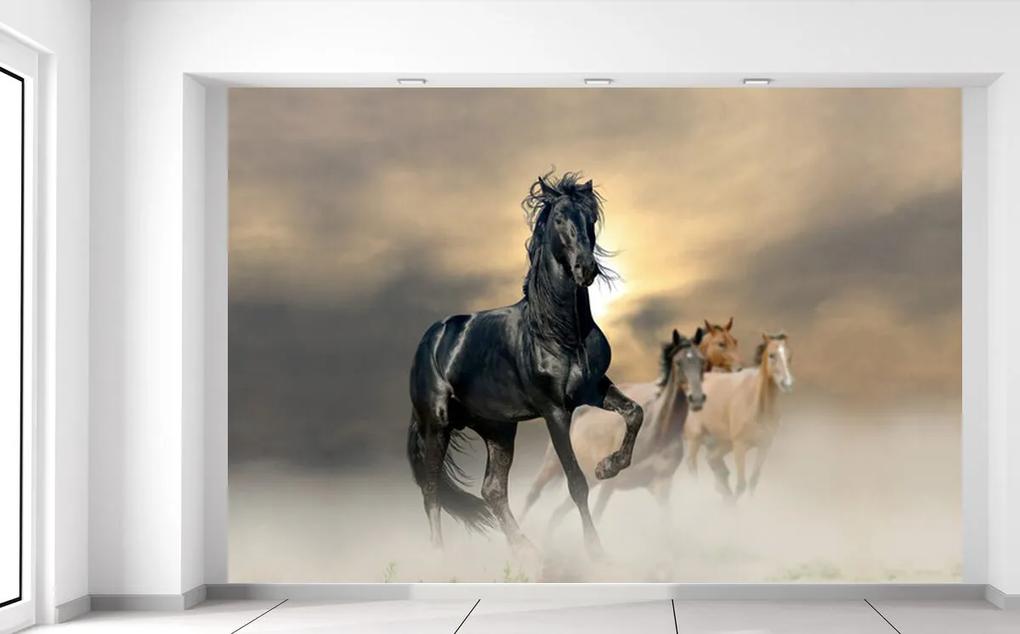 Gario Fototapeta Nádherný čierny kôň Materiál: Samolepiaca, Veľkosť: 150 x 200 cm