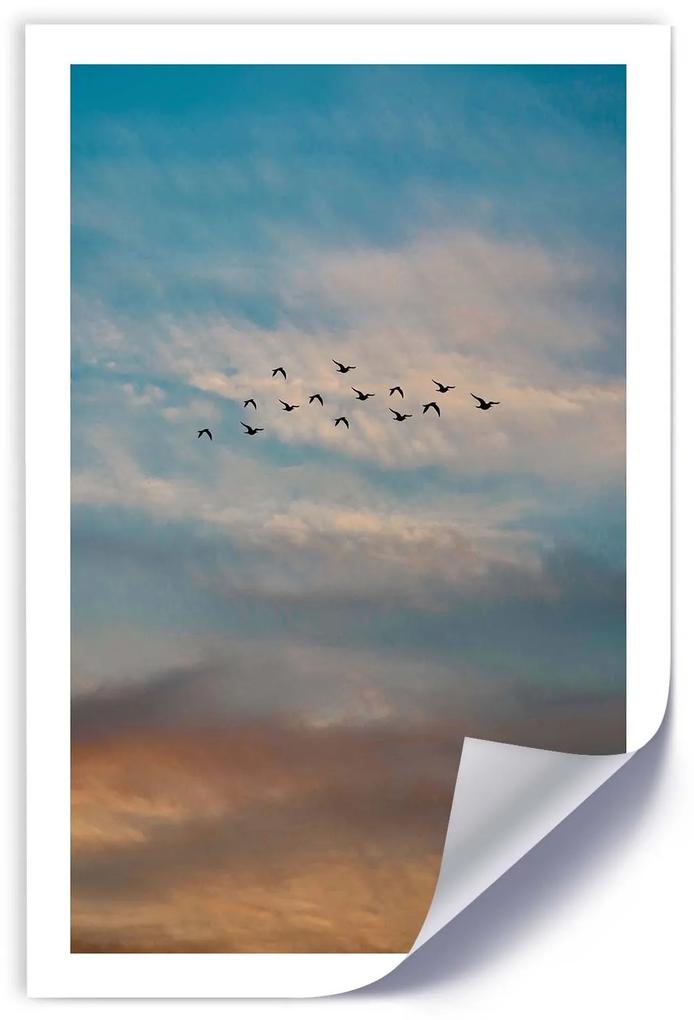 Gario Plagát Lietajúce vtáky na pozadí oblakov Farba rámu: Bez rámu, Rozmery: 40 x 60 cm