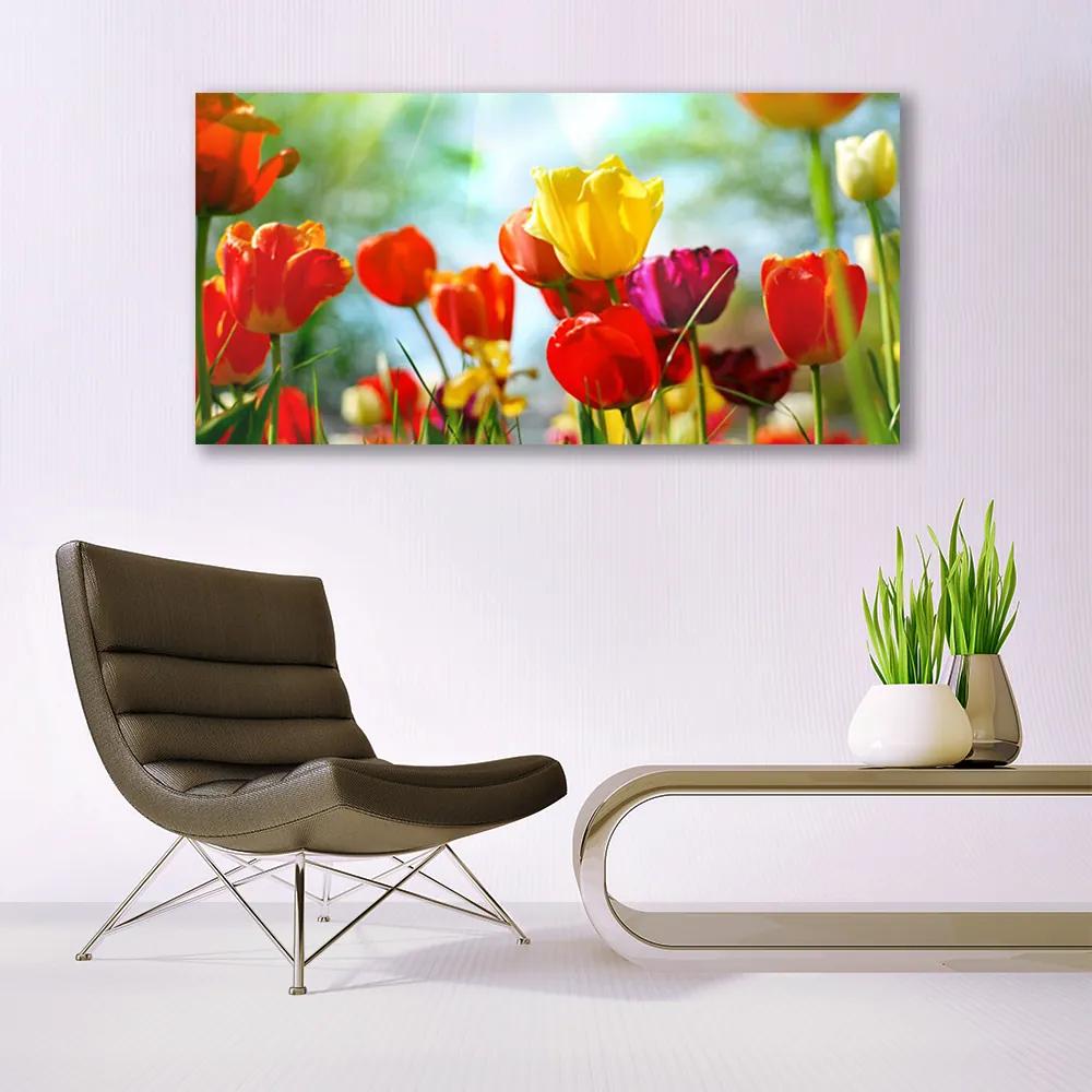 Obraz na akrylátovom skle Kvet 120x60 cm