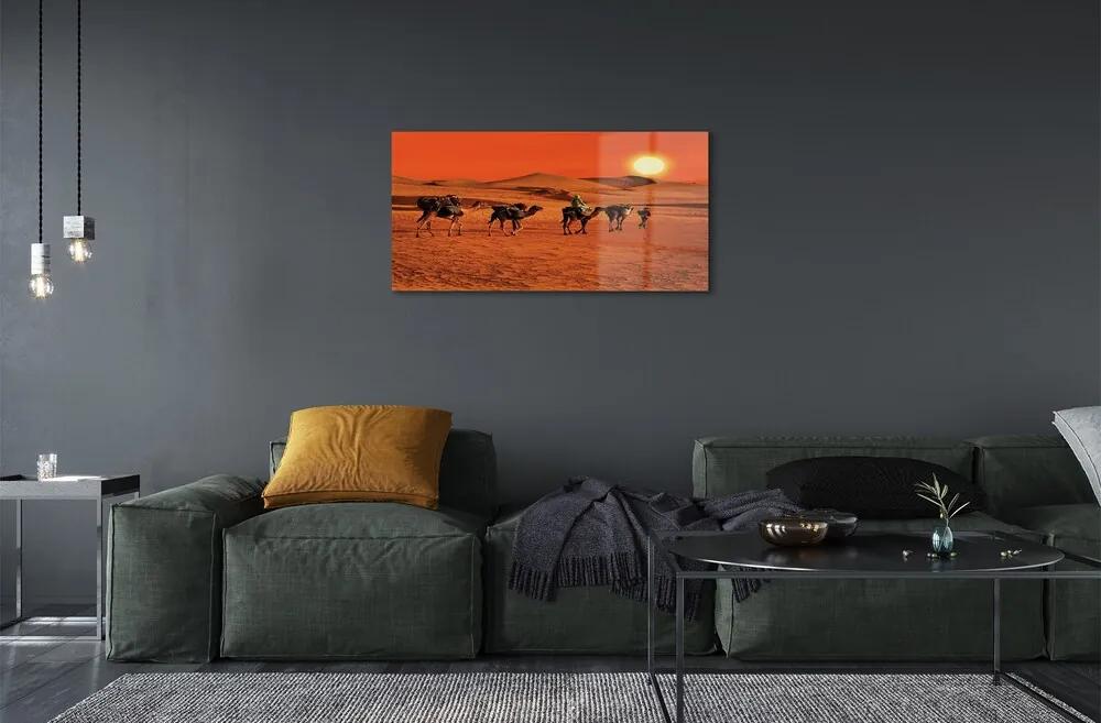 Obraz na skle Ťavy ľudí púštne slnko neba 125x50 cm