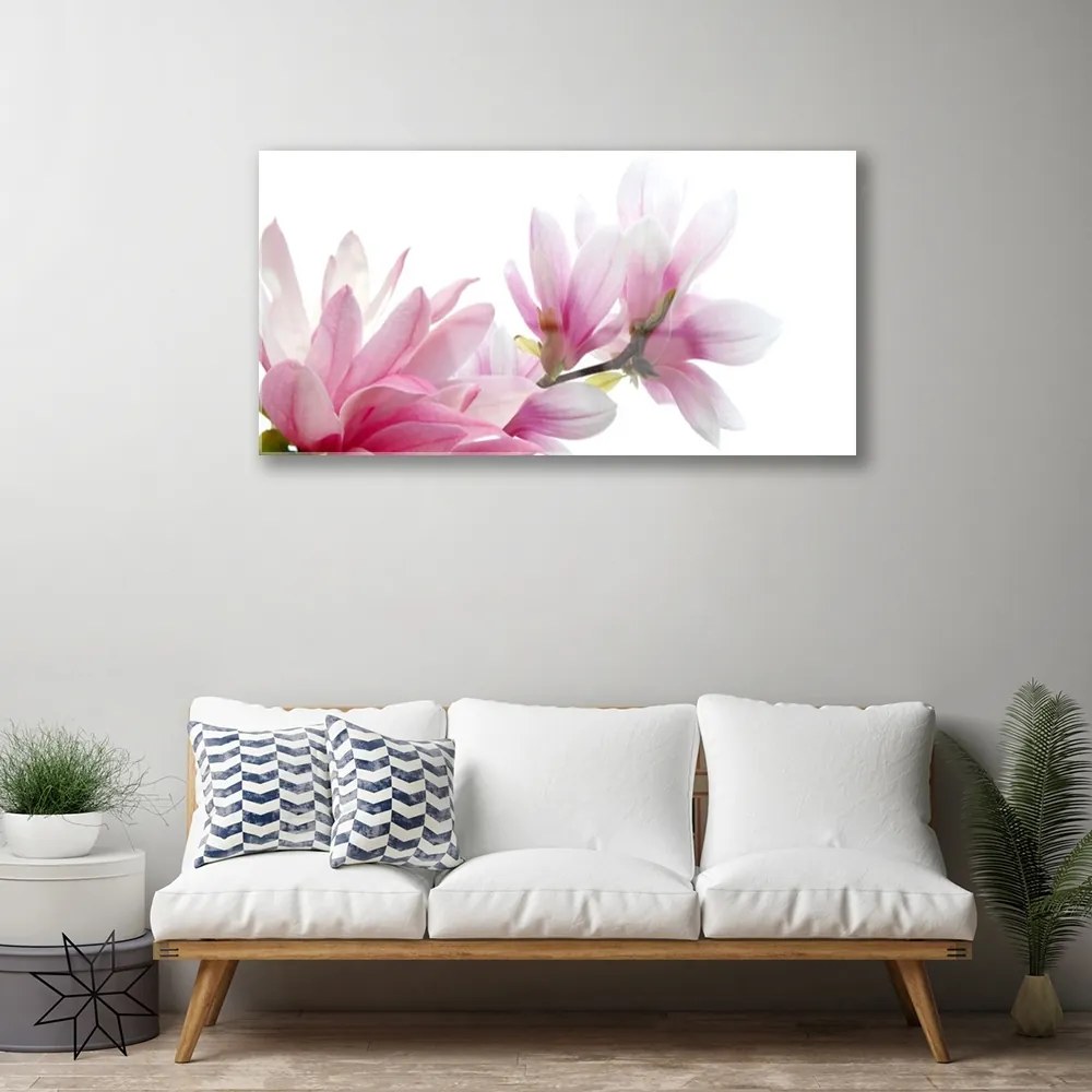 Obraz na skle Magnolie kvet 100x50 cm