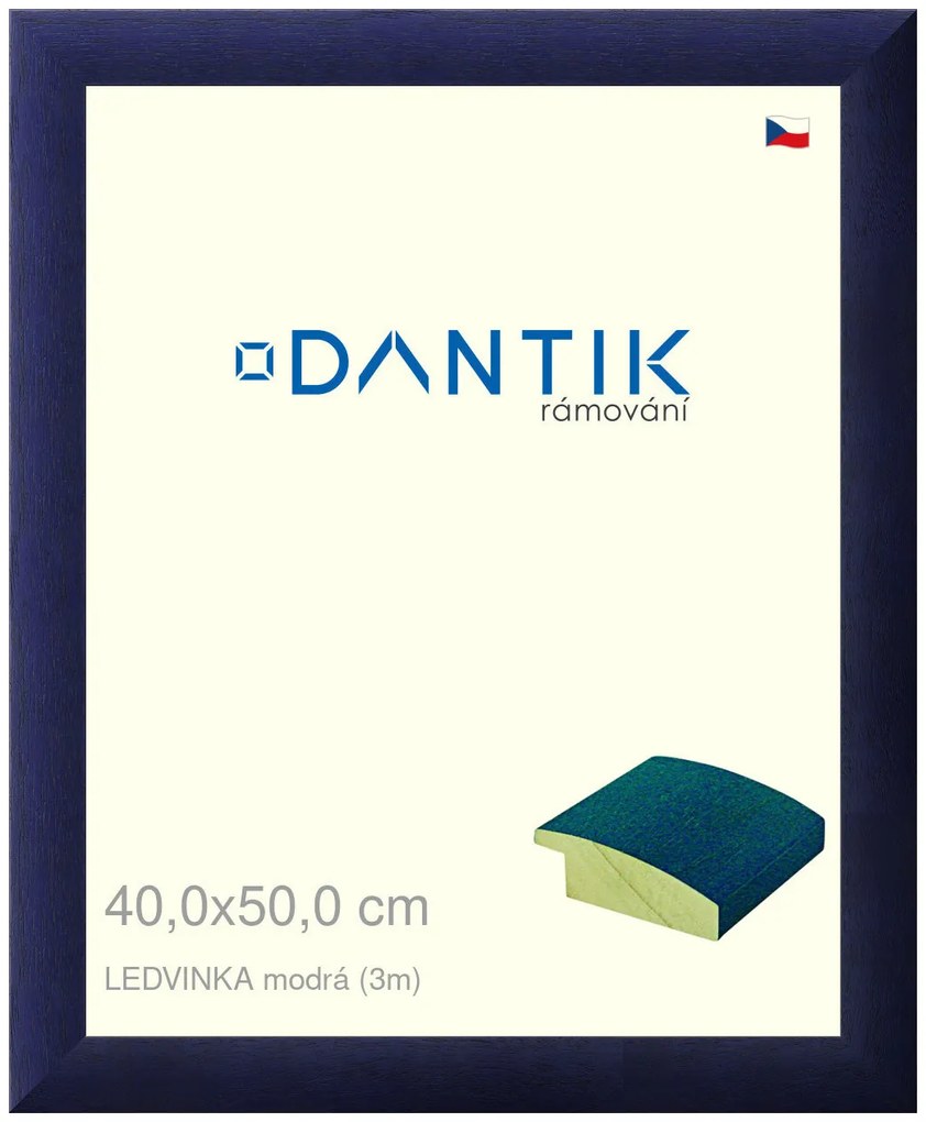 DANTIK rám na obraz 40x50 | LEDVINKA modrá (Plexi Čiré)