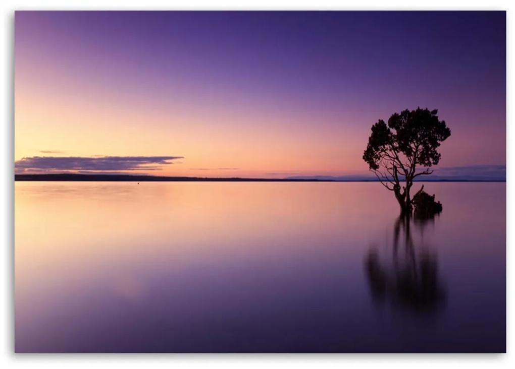Obraz na plátně Přírodní strom Fialové jezero - 90x60 cm