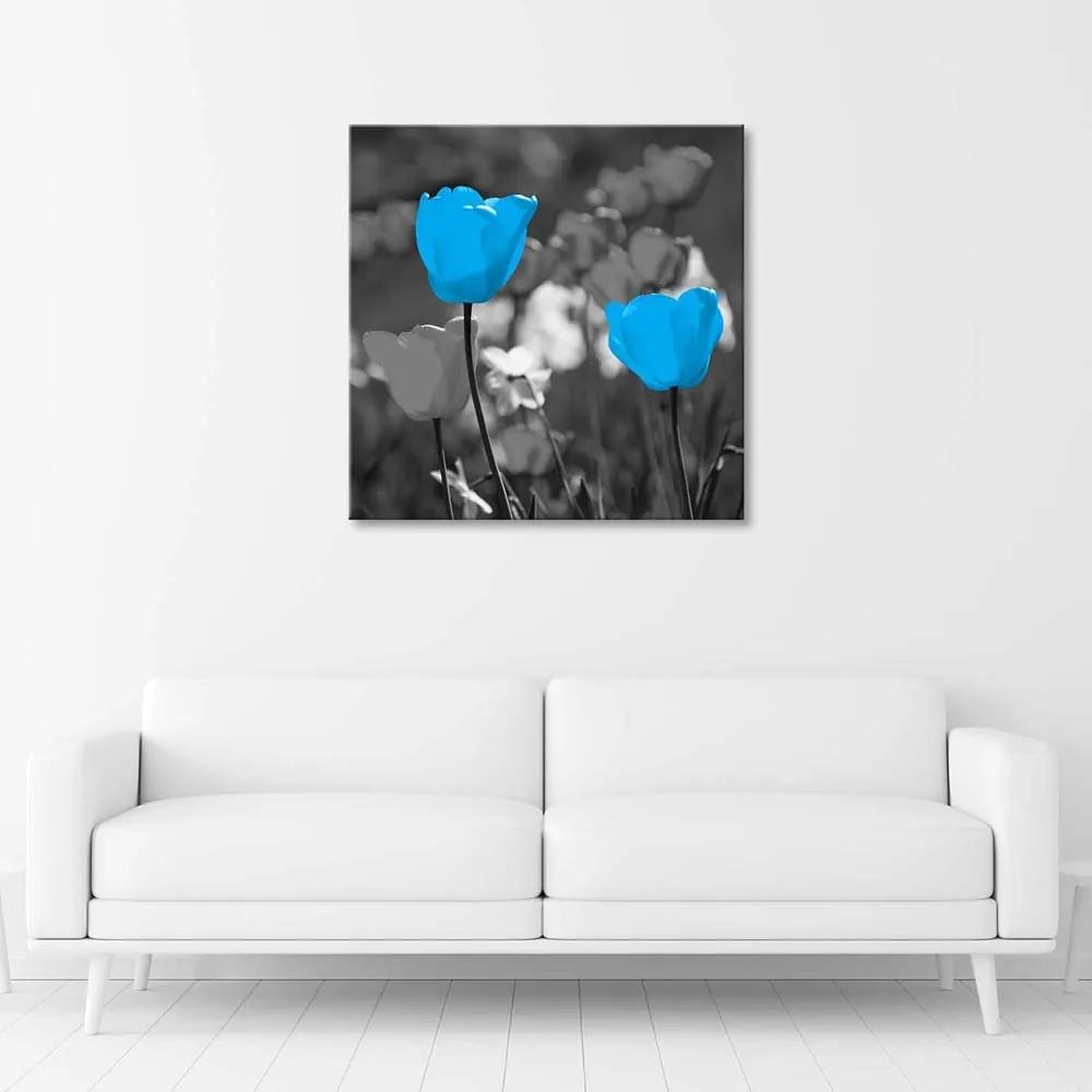 Gario Obraz na plátne Modré tulipány na lúke Rozmery: 30 x 30 cm
