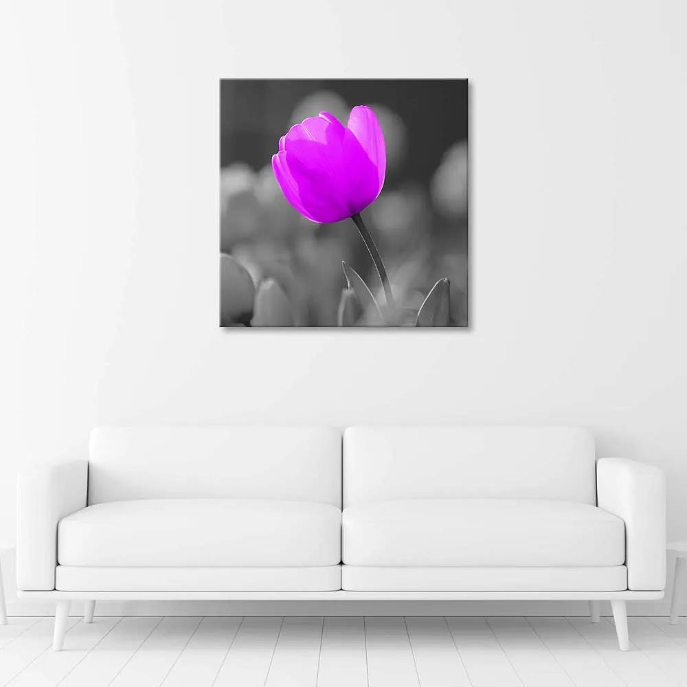 Gario Obraz na plátne Fialový tulipán Rozmery: 30 x 30 cm