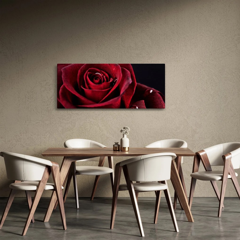 Obraz - Červená ruža (120x50 cm)