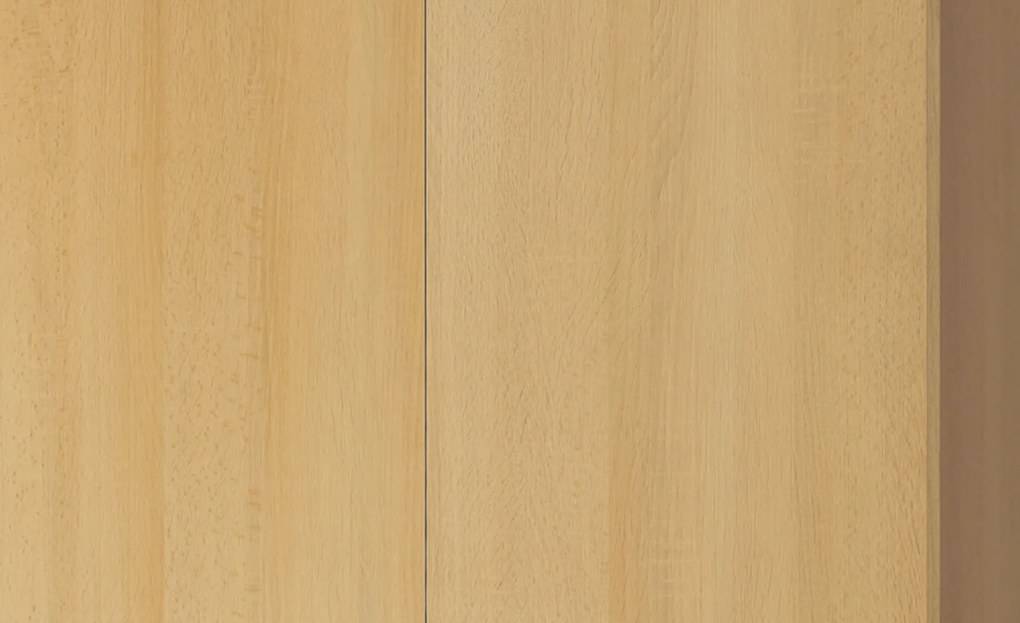 Sconto Šatníková skriňa SEBA 2