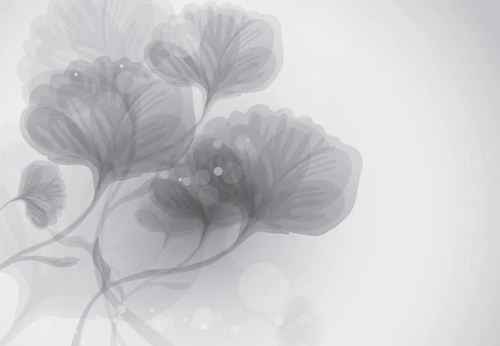 Fototapeta - Abstraktné kvety (147x102 cm)