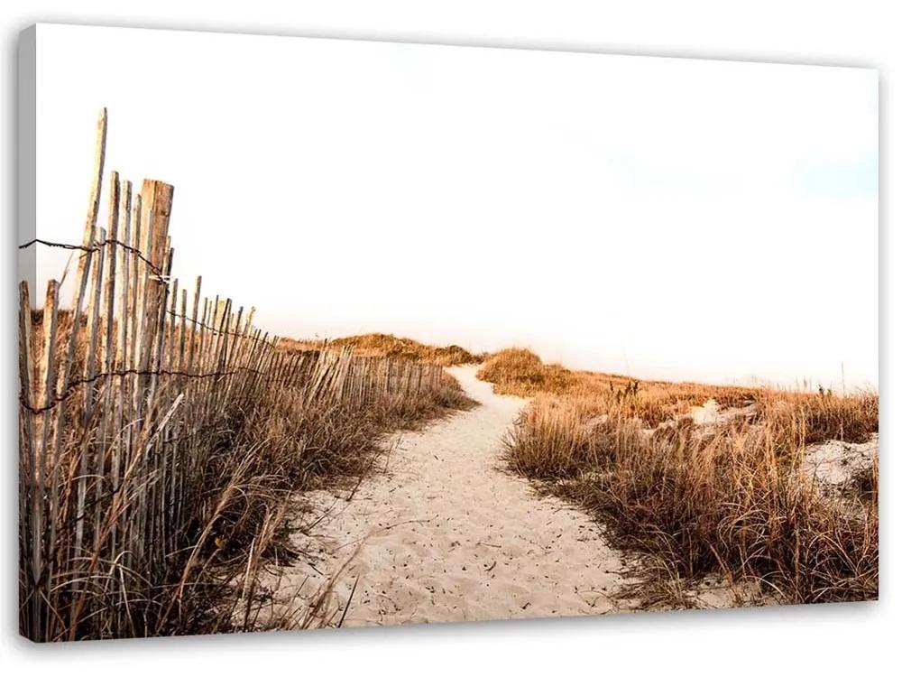 Obraz na plátně Pláž Písečné duny Travnaté plochy - 90x60 cm