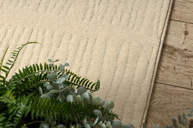 Koberec TEXTURA 488.14.LA100 Osta krémový