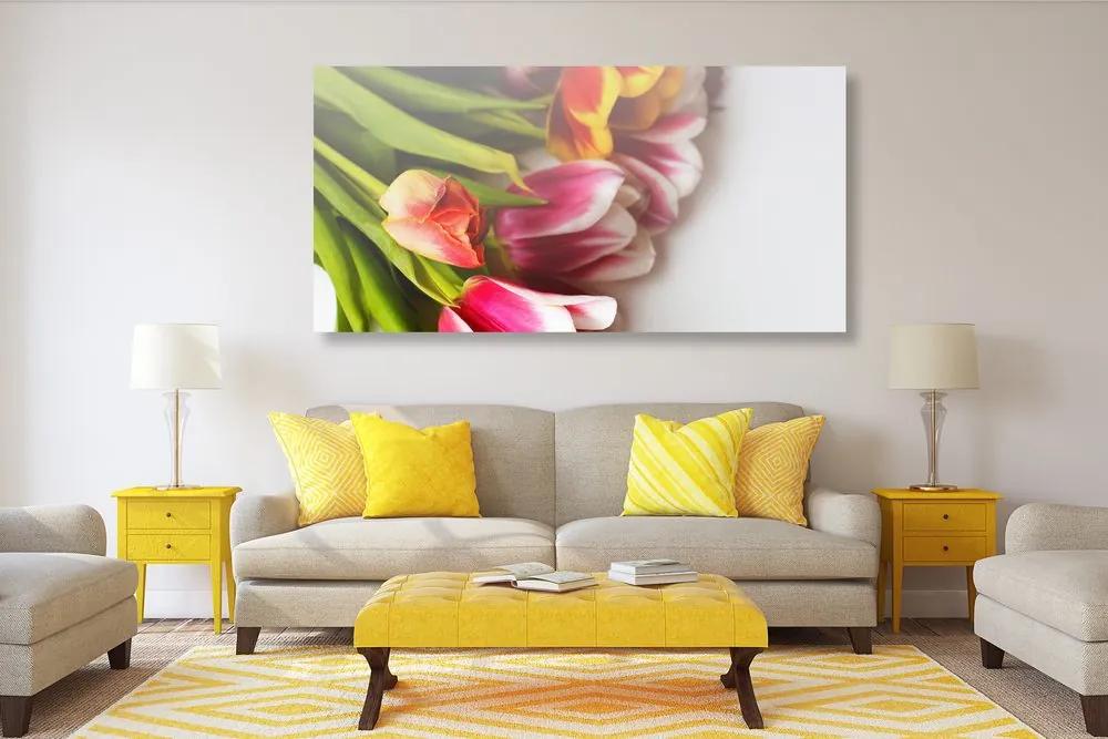 Obraz nádherne sfarbené tulipány