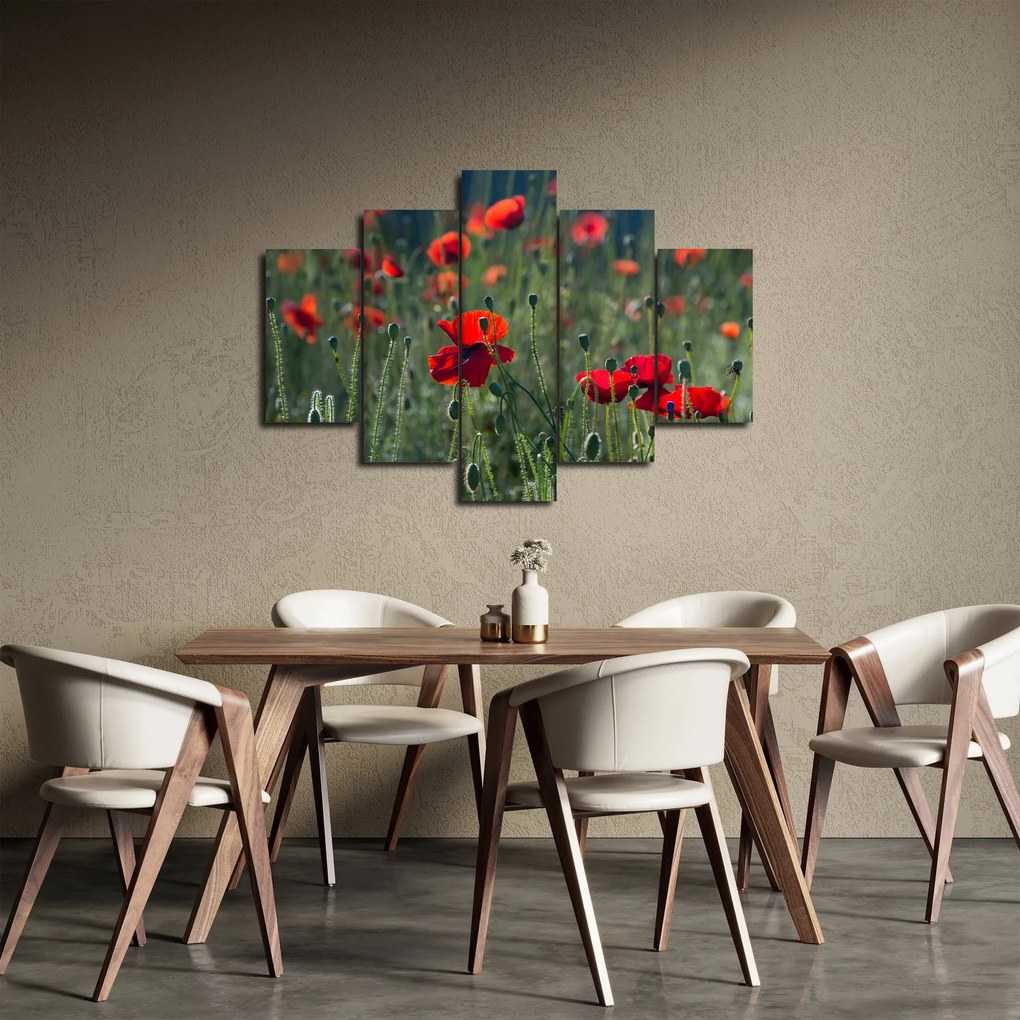 Obraz - Lúka s vlčími makmi (150x105 cm)