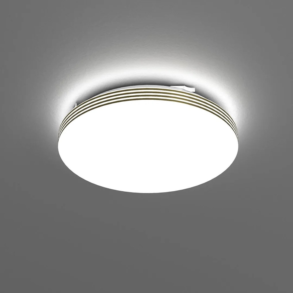 Stropné LED svietidlo Bever, 1x LED 10w, 4000k, g