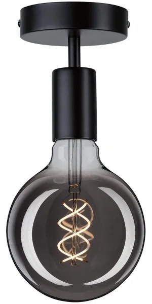 Paulmann 79760 - Stropné svietidlo HALDOR 1xE27/20W/230V