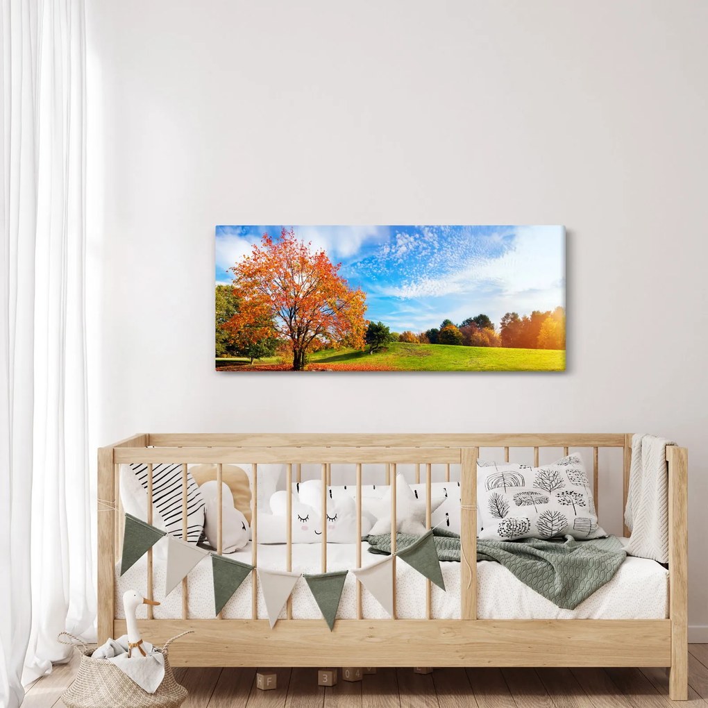 Obraz - Jesenná krajina (120x50 cm)