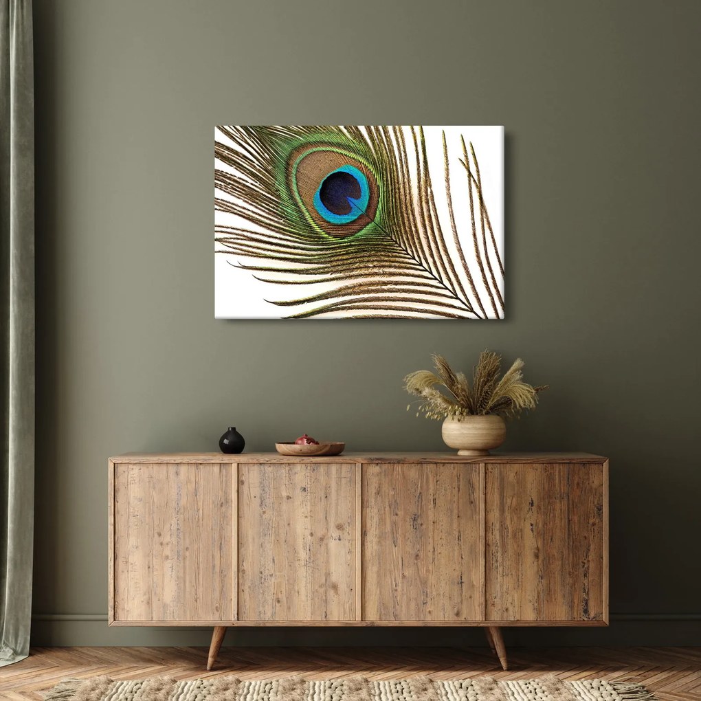 Obraz pávieho peria (90x60 cm)