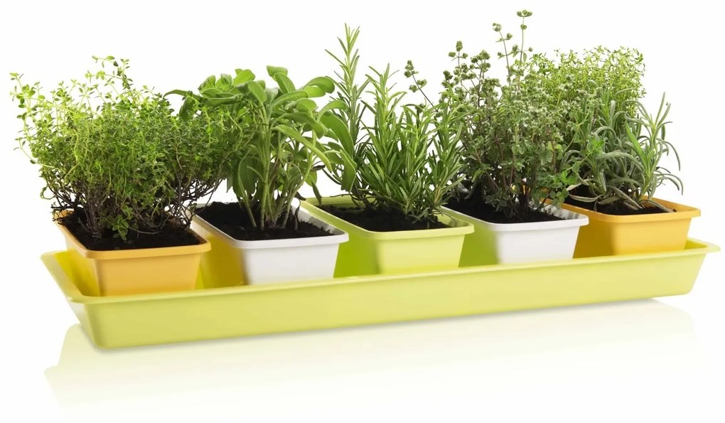 Gardenico Sada truhlíkov Mini Garden 5 ks, 60 cm