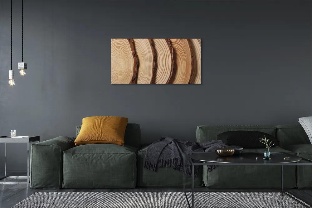 Obraz canvas plátky obilia dreva 140x70 cm