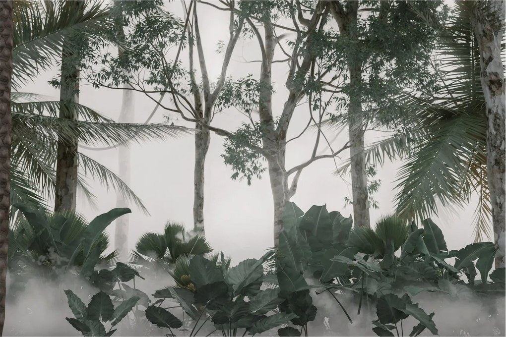Obraz - Jungle v rannej hmle (90x60 cm)