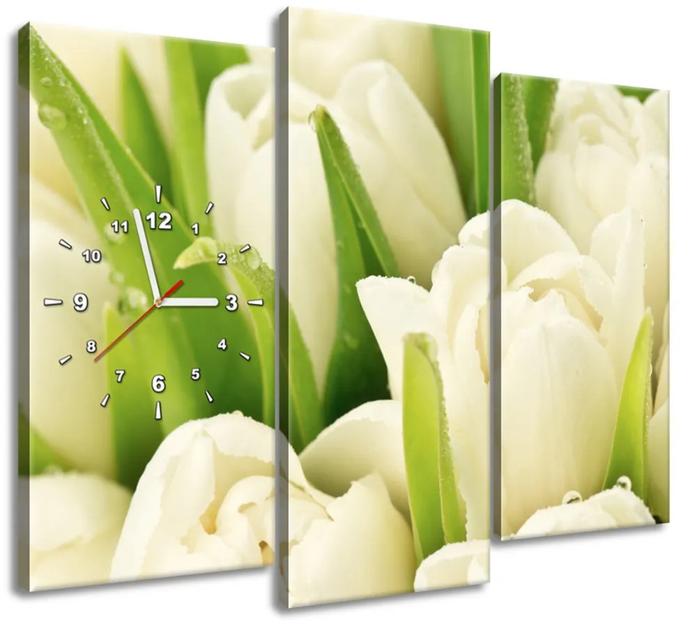 Gario Obraz s hodinami Jemné tulipány - 3 dielny Rozmery: 80 x 40 cm