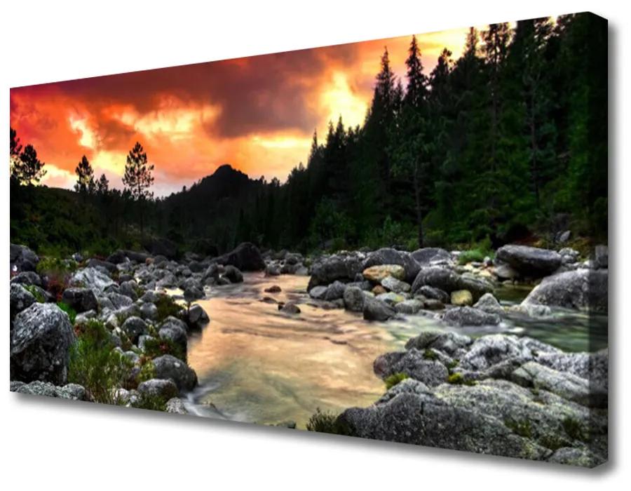 Obraz Canvas Jazero kamene les príroda 100x50 cm