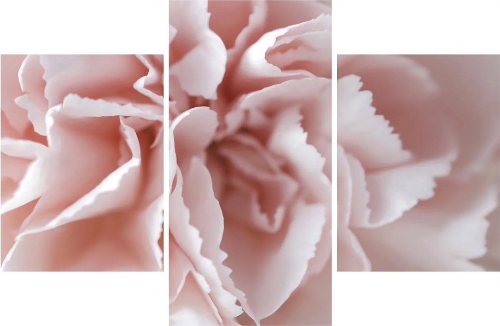 Obraz - Detail kvetu (90x60 cm)