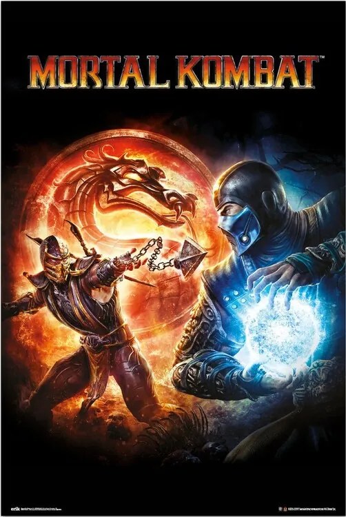 Plagát, Obraz - Mortal Kombat 9, (61 x 91.5 cm)