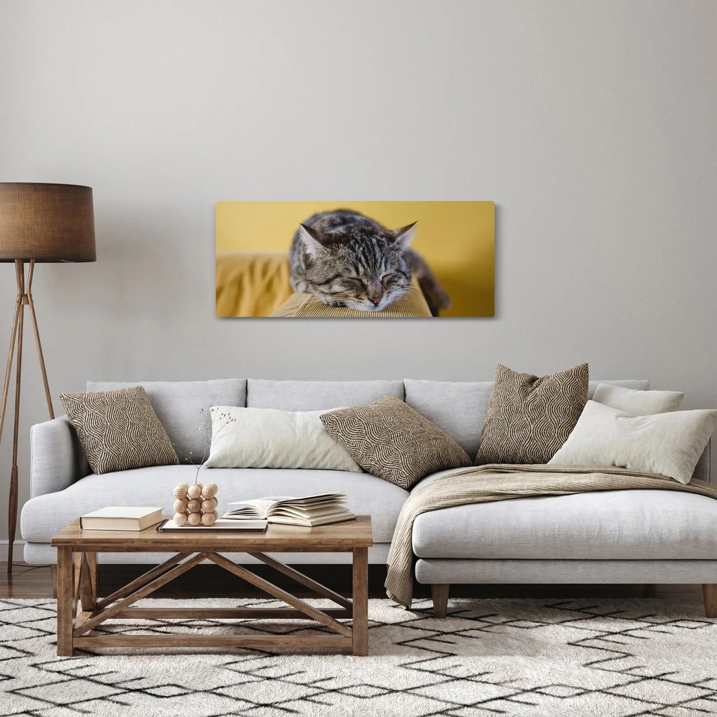 Obraz mačky na pohovke (120x50 cm)