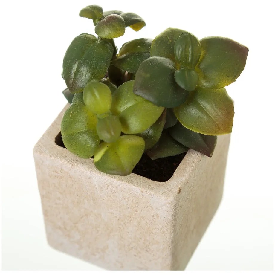 Umelé rastliny v súprave 6 ks (výška 9,5 cm) Cactus – Casa Selección