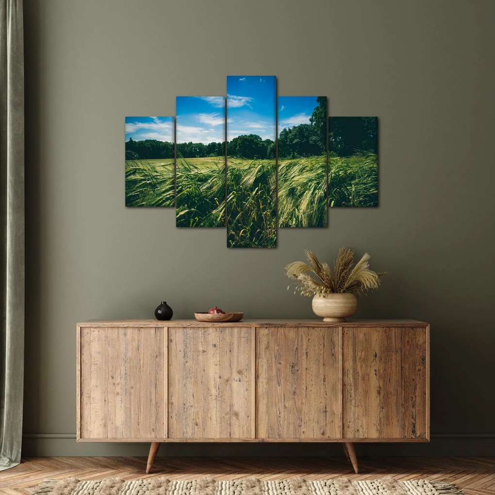 Obraz lúky a lesa (150x105 cm)