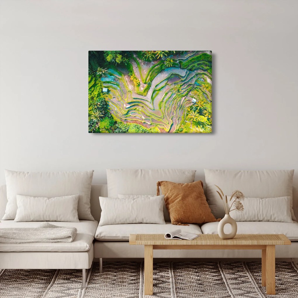 Obraz ryžových polí z vtáčej perspektívy (90x60 cm)