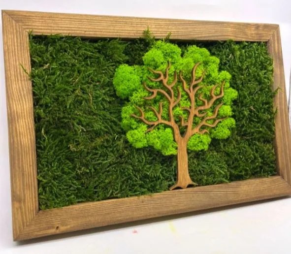 Obraz Strom z machu 20x30 cm