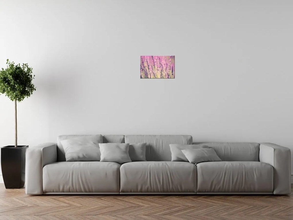 Gario Obraz na plátne Krásne levandule Rozmery: 30 x 30 cm