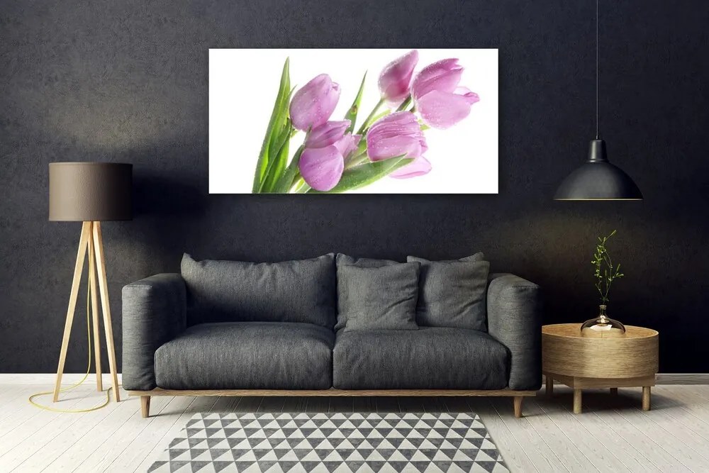 Obraz plexi Tulipány kvety rastlina 120x60 cm