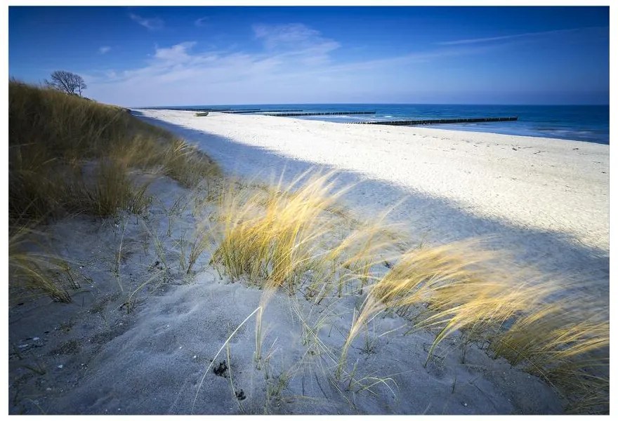 Fototapeta Vliesová Morská pláž 104x70 cm