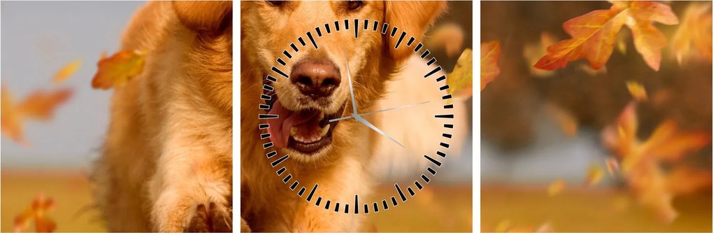 Obraz - Zlatý retriever (s hodinami) (90x30 cm)