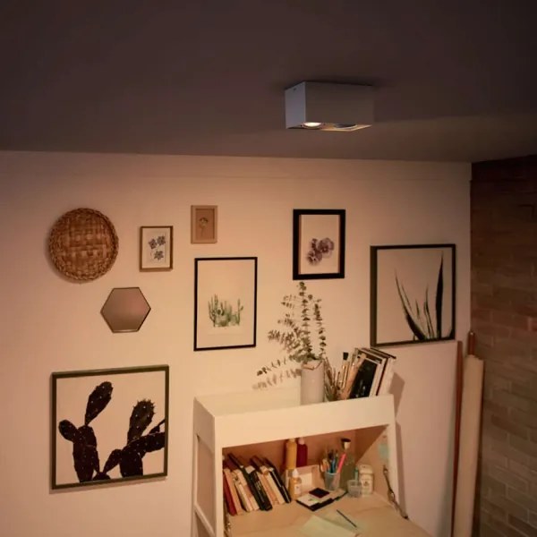 Philips 50492/31/P0-LED Stmievateľné bodové svietidlo MYLIVING BOX 2xLED/4,5W/230V