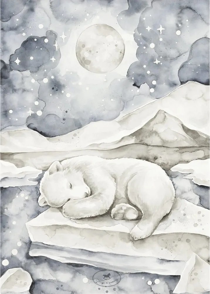 Plagát medveď 50x70cm