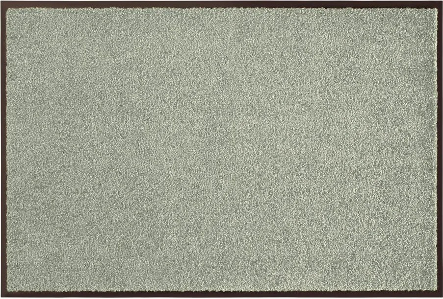 Rohožka 40x60 cm Wash and Clean – Hanse Home