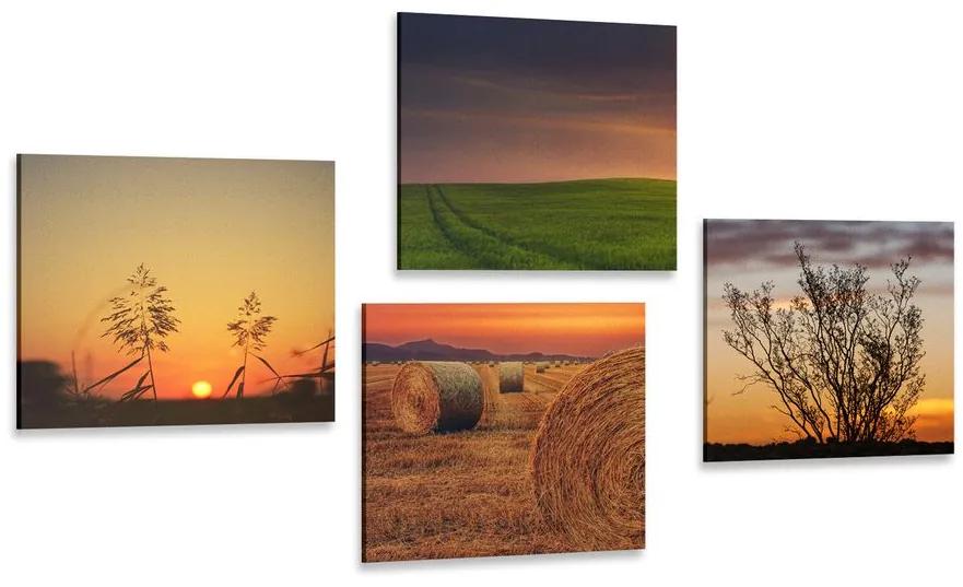 Set obrazov romantický západ slnka na lúke Varianta: 4x 40x40