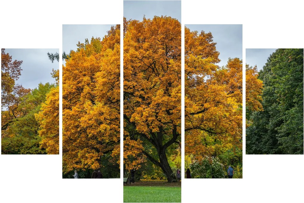 Obraz stromu (150x105 cm)