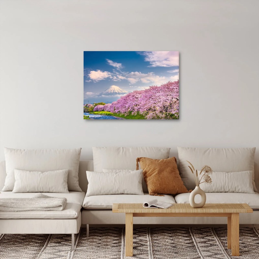 Obraz - Japonská jarná krajina (70x50 cm)