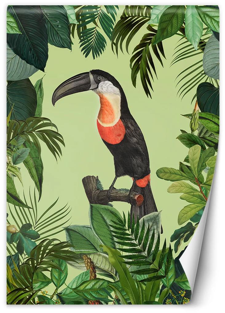 Gario Fototapeta Papagáj na zelenom pozadí - Andrea Haase Materiál: Vliesová, Rozmery: 100 x 140 cm