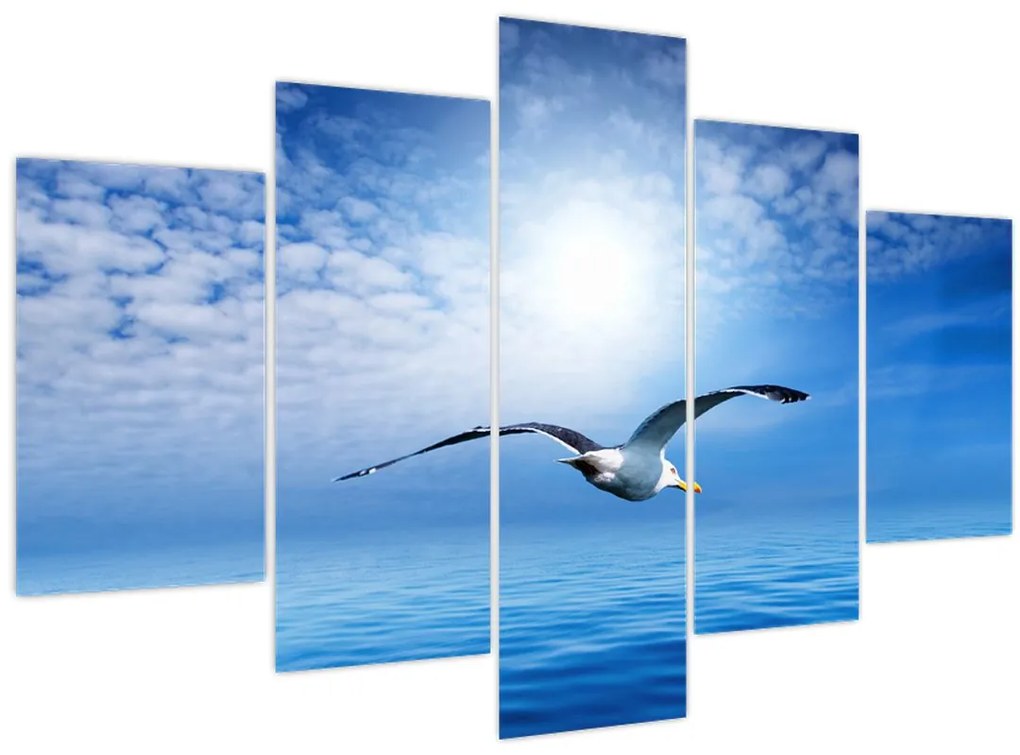 Obraz - Čajka nad morom (150x105 cm)