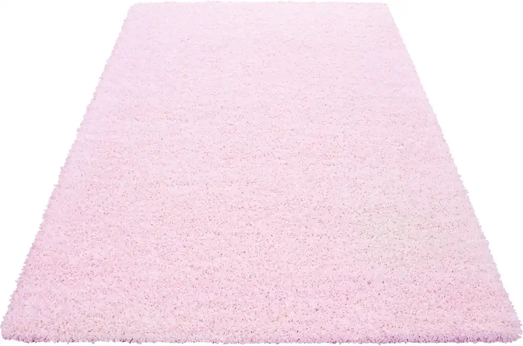 Ayyildiz koberce AKCE: 100x120 cm Kusový koberec Life Shaggy 1500 pink -  100x200 cm | Biano