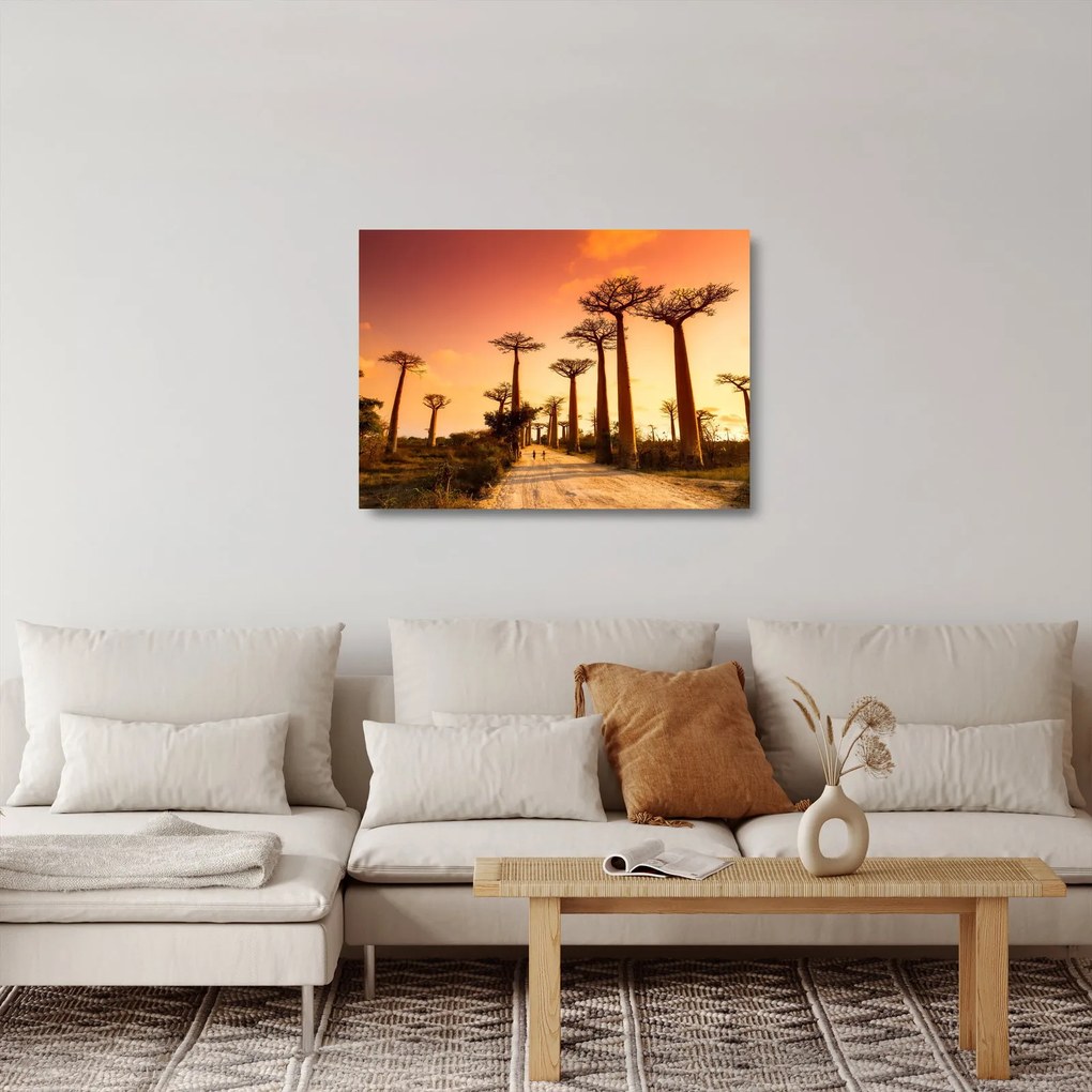 Sklenený obraz - Západ slnka v uličke Baobab (70x50 cm)