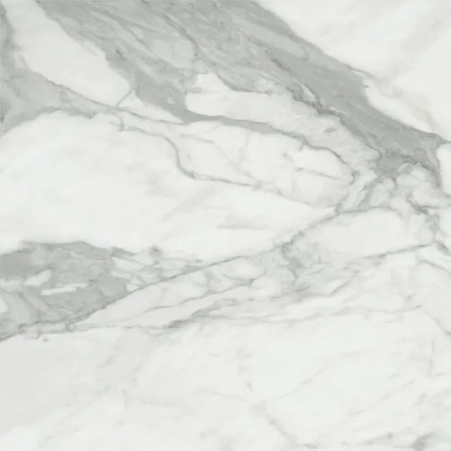 Dlažba Invictus Pulido 80x80 R