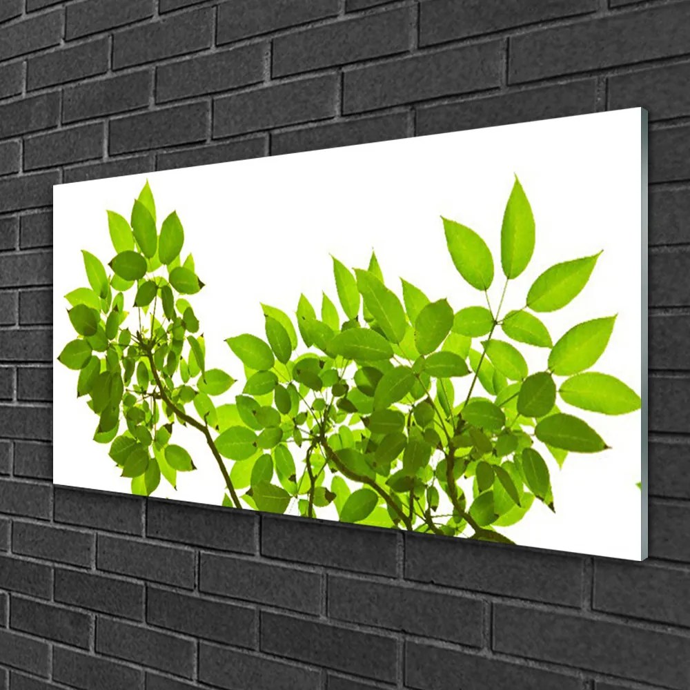 Skleneny obraz Vetva listy rastlina príroda 100x50 cm