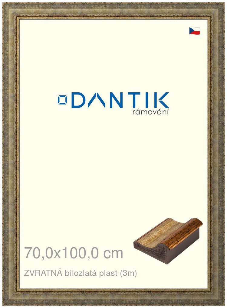 DANTIK rám na obraz 70x100 | ZVRATNÁ bílozlatá plast (Plexi Čiré)