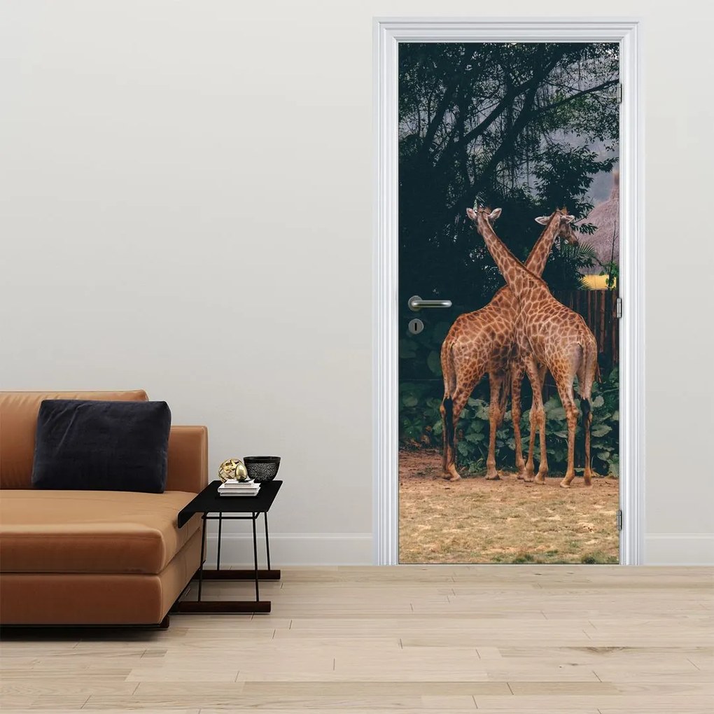Fototapeta na dvere - Dve Žirafy (95x205cm)